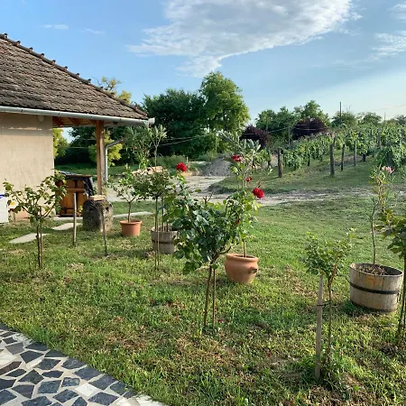 Buzal-morocza Pinceszet Es Szallashely 3*